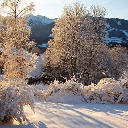 Lamm Apartment Ramsau am Dachstein