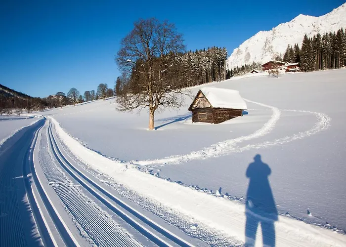 Lejlighed Lamm Ramsau am Dachstein